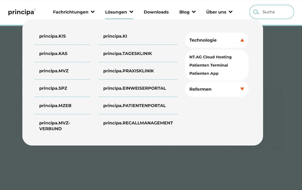 Modernes Mega-Menü einer Praxissoftware-Website